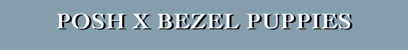 posh x bezel puppies