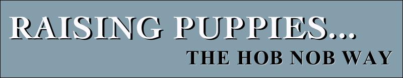 raising puppies...
                                the HOb nob way