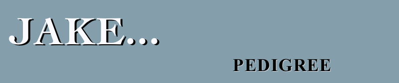 Jake...
                                         pedigree